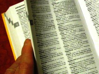 Französisch-deutsches Wörterbuch